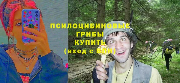 таблы Алексин